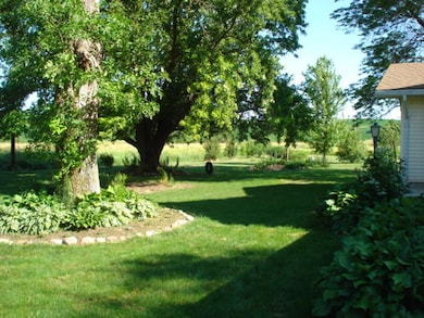 Front yard