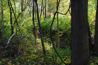 4330 76th St SW unit C, Byron Center, MI 49315 - photo 5