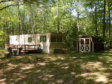 173 E Forest Trail, Le Roy, MI 49655 - photo 2