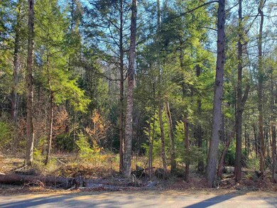 Lot R06-34B Forest Pond Rd, New Hampton, NH 03256 - photo 4