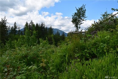 13556 Center Rd, Quilcene, WA 98376 - photo 3