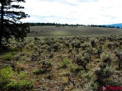 0 Cardwell Draw Rd unit 716504, Powderhorn, CO 81243 - photo 6