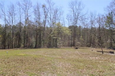 118 Widgeon Ln, Grady, AL 36036 - photo 5