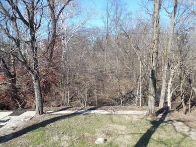 18 - Backyard ravine view