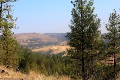 35770 Spruce Grouse Ln N, Davenport, WA 99122 - photo 2