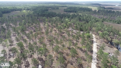 3009 Horse Stamp Church Rd, Waverly, GA 31565 - photo 4