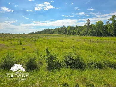 0 Alexander-Munnerlyn Rd, Waynesboro, GA 30830 - photo 6