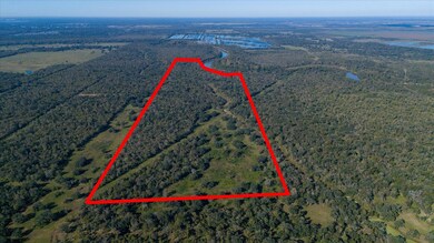 0000 Cr-611, Angleton, TX 77515 - photo 6