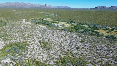 1.03 Acres N Leslie Canyon Rd unit 87, Douglas, AZ 85607 - photo 3