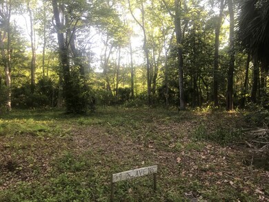 9 2nd Ave NE, Steinhatchee, FL 32359 - photo 4