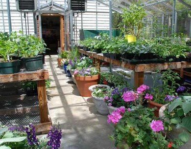 Other. Green House