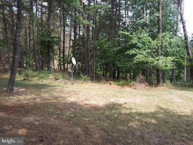 0 Little Cacapon-Levels Rd, Slanesville, WV 25444 - photo 3