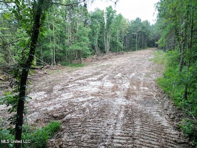 2 Old Hamburg Roxie Rd NW, Roxie, MS 39661 - photo 4