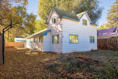 320 6th St, Olathe, CO 81425 - photo 4