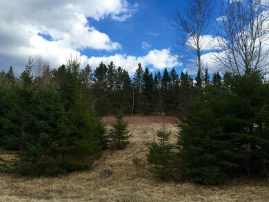 0 Jason Ave unit 4484717, Jefferson, NH 03583 - photo 3