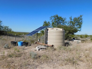 653 S U S Hwy 59, Georgewest, TX 78022 - photo 7