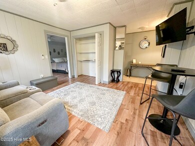 411 George St unit 4, New Bern, NC 28560 - photo 3