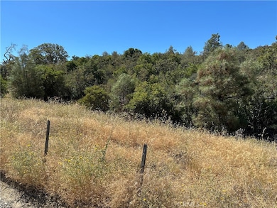 22017 No Guns Rd, Clearlake Oaks, CA 95423 - photo 2