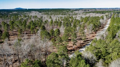 1911 White Rock Rd, Lincolnton, GA 30817 - photo 4