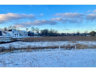The view out the back of the home is this stunning wetland view.