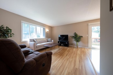 Plenty of natural light