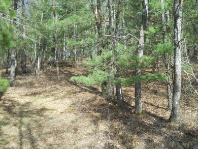 4247 S Nugent Dr, Baldwin, MI 49304 - photo 2