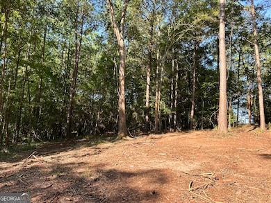 119 Hough Johnson Rd, Haddock, GA 31033 - photo 7