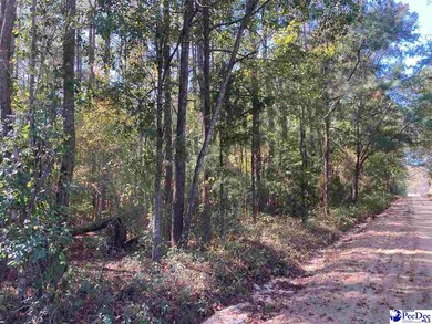TBD Old Kemper Rd, Lake View, SC 29563 - photo 3