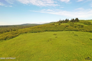 Alaskan Wildwood Ranch(r) P2 (8)