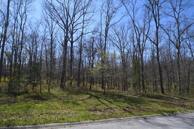 504 Riverchase Dr, Crossville, TN 38571 - photo 3