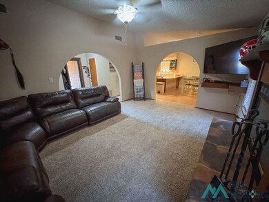 3401 Sunnyview Ave, Carlsbad, NM 88220 - photo 4