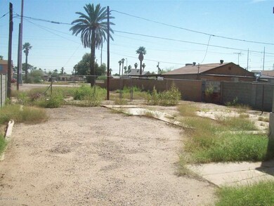 Backyard 007