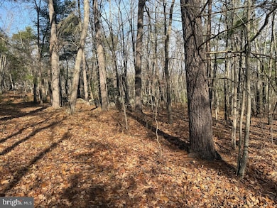 0 5 6 Cooper Mountain View, Capon Bridge, WV 26711 - photo 4