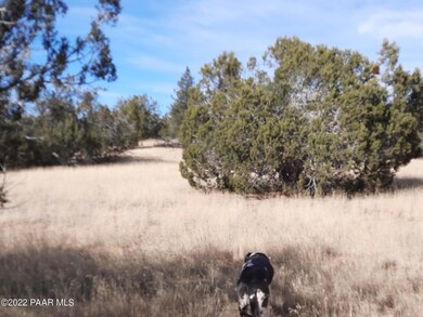 Lot 31 Sunset Dr, Seligman, AZ 86337 - photo 3