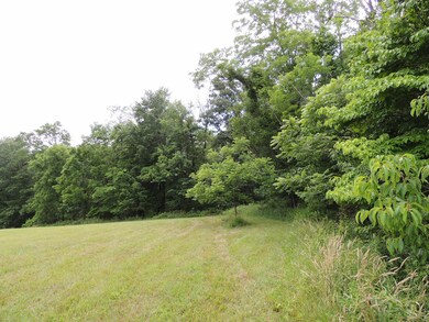 Woodland Border