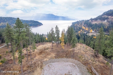 NNA Red Hawk Landing, Sagle, ID 83860 - photo 5