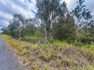 92-9130 Tree Fern Ln, Ocean View, HI 96737 - photo 7