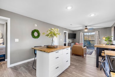 14 Woodpecker Ln unit 4, Branson, MO 65616 - photo 6