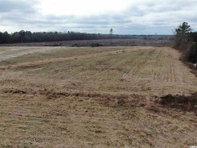 3617 Old Reaves Ferry Rd, Conway, SC 29526 - photo 7