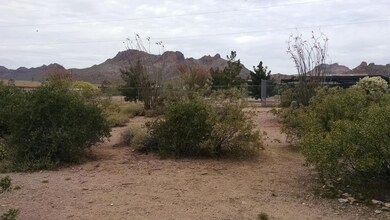 View from Back yard