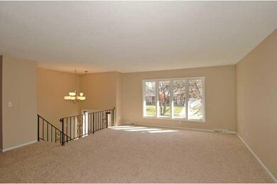 Living Room. Large living room with new carpet and