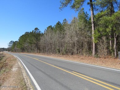 3431 A B Carter Rd, Fayetteville, NC 28312 - photo 7