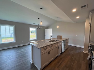 Kitchen with vaulted ceiling, dark hardwood / wood