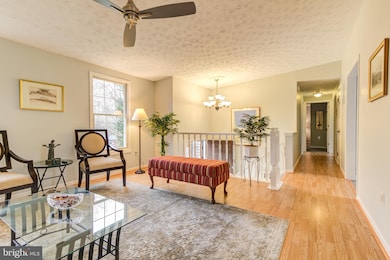 309 Niagara Ct, Takoma Park, MD 20912 - photo 4