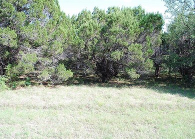 30086 Woodcrest Dr, Whitney, TX 76692 - photo 5