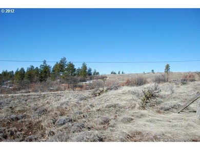 0 Timber unit 66 12454100, Bickleton, WA 99322 - photo 3