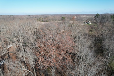 0 U S 63, Willow Springs, MO 65793 - photo 5