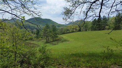 1628 Phipps Creek Rd, Burnsville, NC 28714 - photo 5