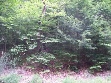 0 Buzzell Rd unit 4175415, Acton, ME 04001 - photo 2