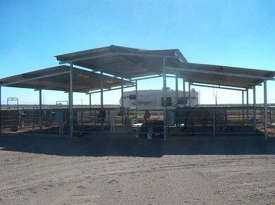 Horse Motel 1